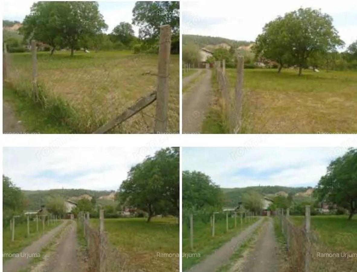 Teren intravilan loc. Brosteni, judetul Vrancea - 2