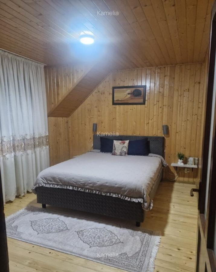 Vila in localitatea Sarata Monteoru, Buzau - 26