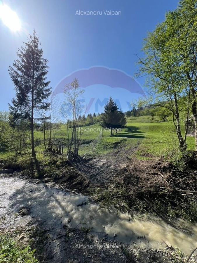 Teren 12,127mp Frasin / Drumul Forestier Valea Seaca - 10