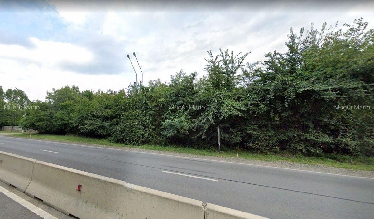 Oportunitate de investitie - Teren Intravilan Saftica PUZ aprobat - 3