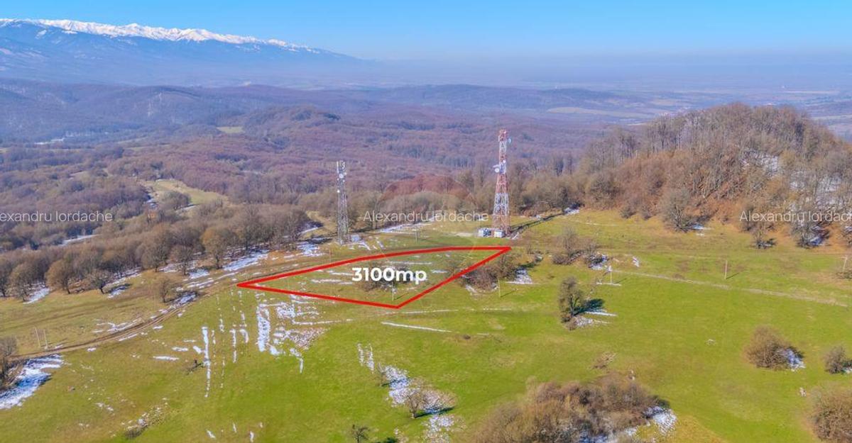 COMISION 0% Teren 3,100mp /Intravilan/ Dumbravi?a - 1