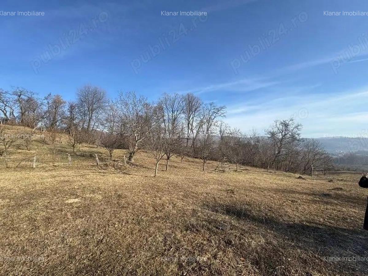De vanzare 4771 mp teren in Albestii de Arges - 4