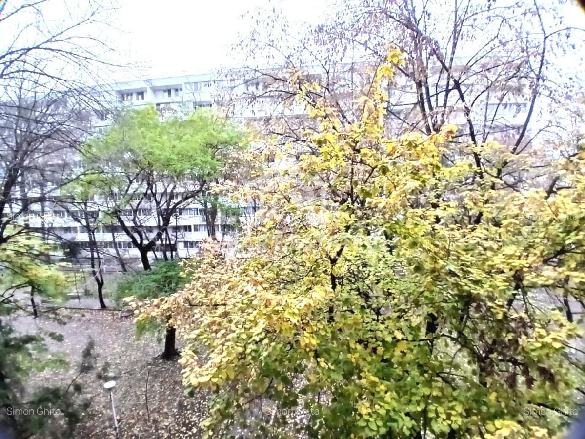 2 camere parc Gh. Petrascu | Baba Novac - 5