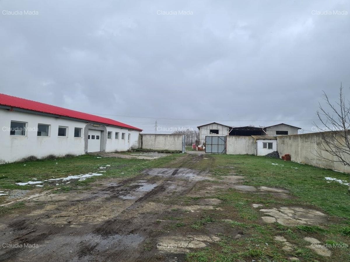 Spațiu industrial, 781 mp în Prejmer - 17