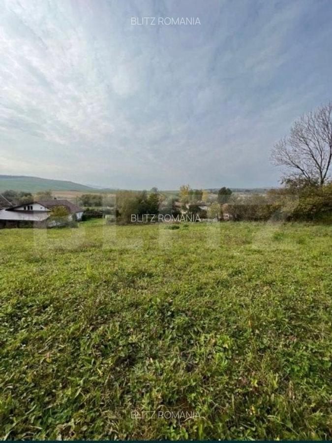 Teren intravilan, 4 506 mp, sat Craiesti - 1