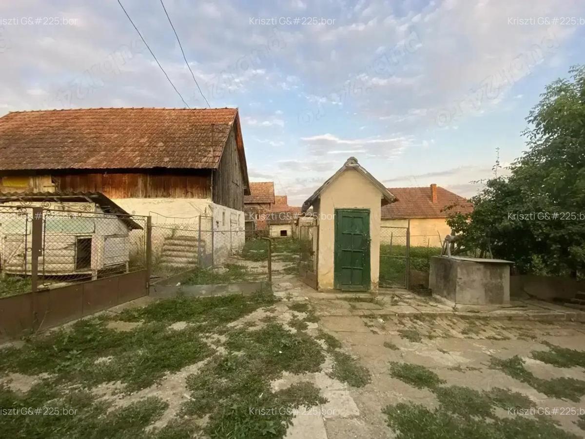 Casa de vanzare in Craiesti comuna Adamus - 6