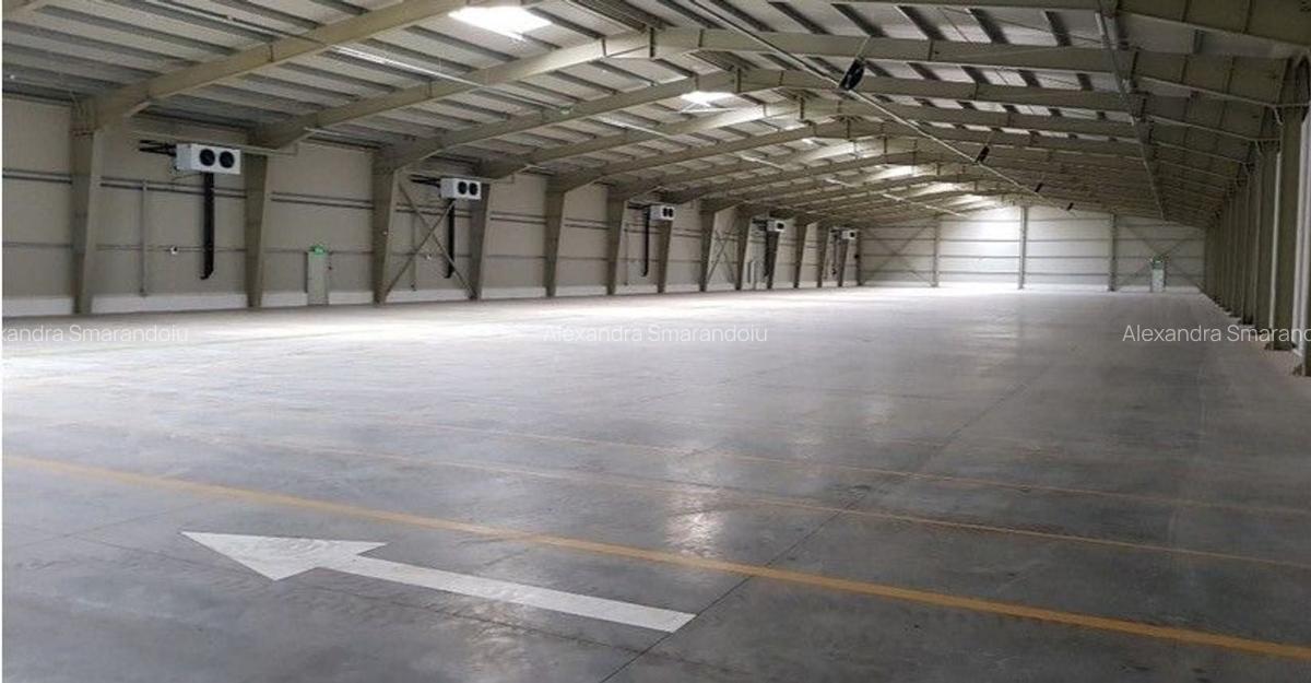 Inchiriere spații cu suprafețe între 600 mp și 3.000 mp /  Logistics park - 1