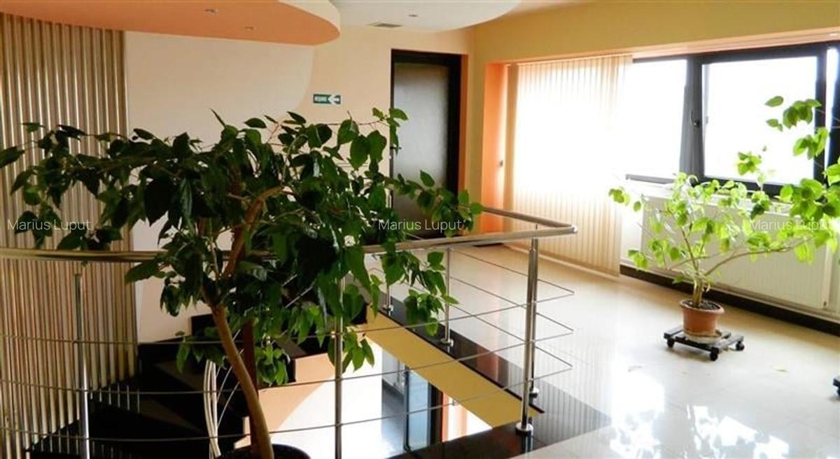 Hala industriala, 1600 mp cu teren 6500 mp , Timisoara Nord Vest - 11