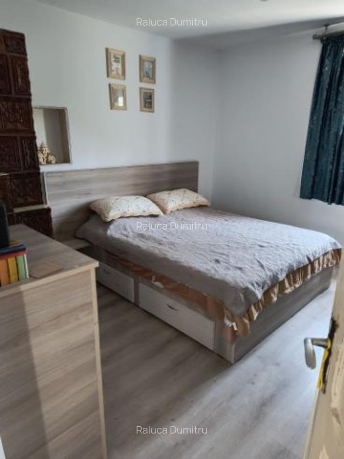 Casa si curte de vanzare, beci, 2 terase, 2 fantani - 1