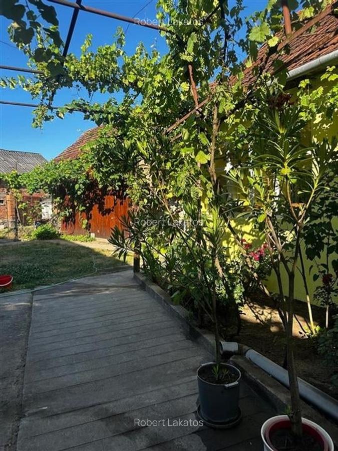 Reco Casa cu teren in Uileacul de Beius - 9