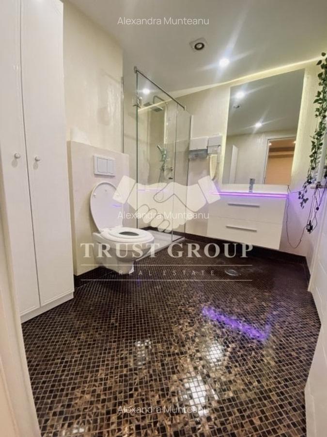 Apartament 2 camere de vanzare Herastrau | Terasa 16mp - 13