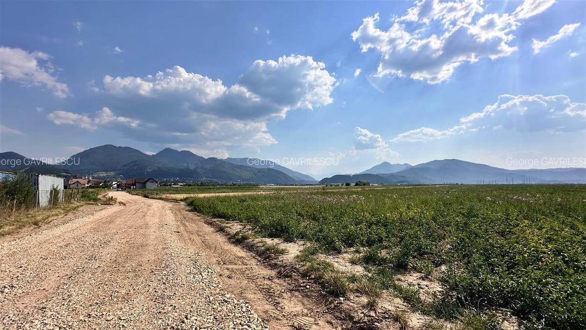 Teren extravilan 13200 mp.zona de case Sacele pretabil investitie!! - 8