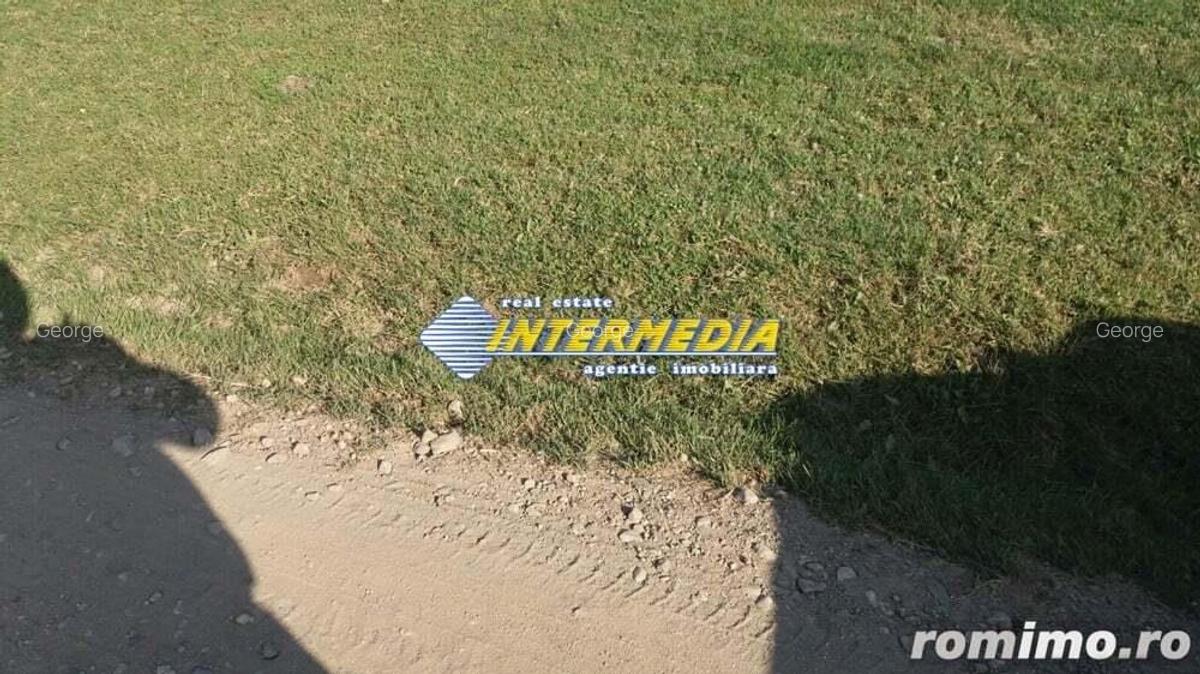 Teren Intravilan 600 mp. de vanzare Alba Micesti parcele diverse - 5