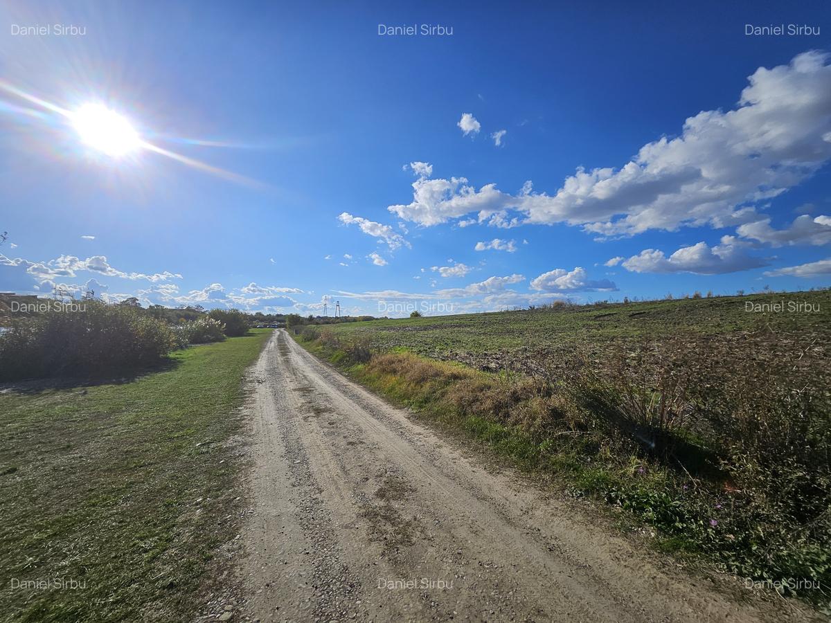 Teren intravilan Balotesti / 5.000 mp / D: 18 m / langa lac / comision 0% - 6 Teren intravilan Balotesti / 5.000 mp / D: 18 m / langa lac / comision 0% - 6