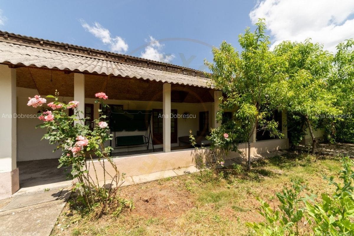 Casa batraneasca - Glambocelu, com. Bogati, Arges! - 14