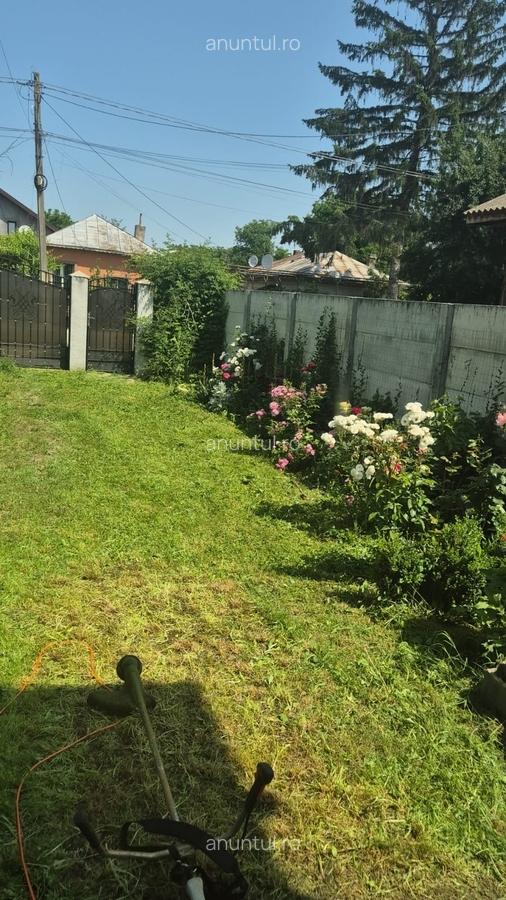 Giurgiu, Poiana lui Stanga - 3