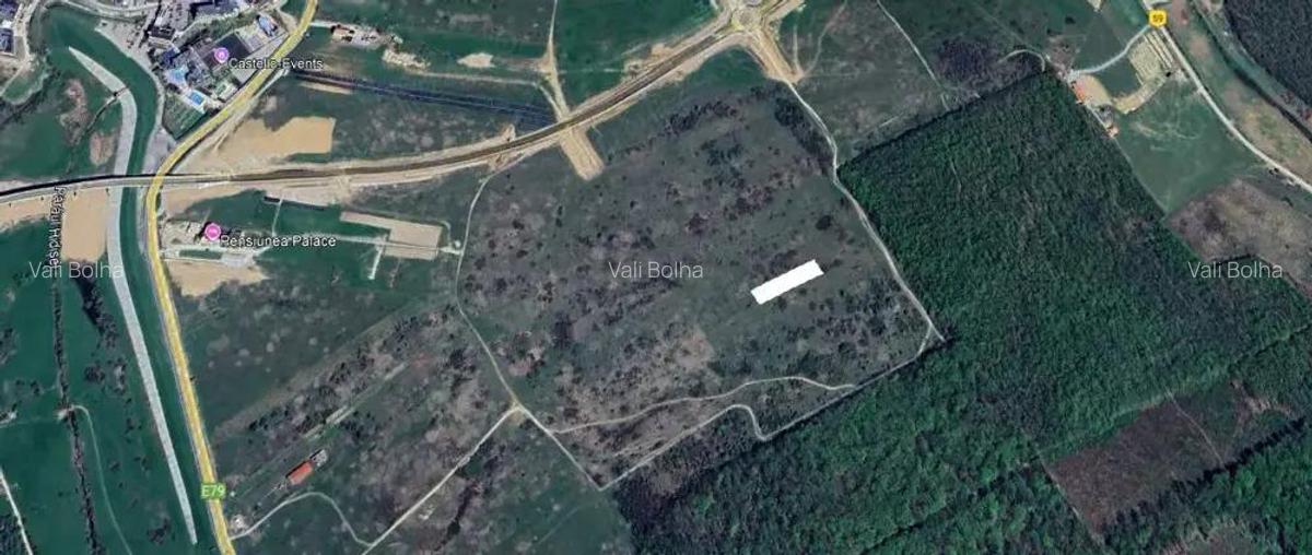 Teren de vanzare Sanmartin ! - 2