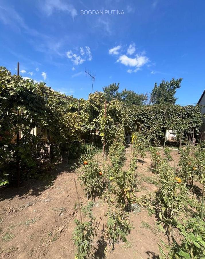 Casa km 5 cu teren mare - 29