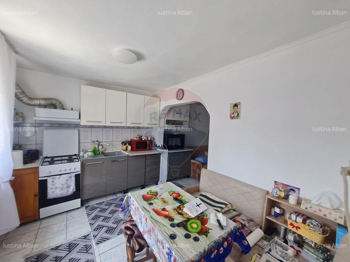 Casă individuală cu 5 camere în Pitulușa - 2