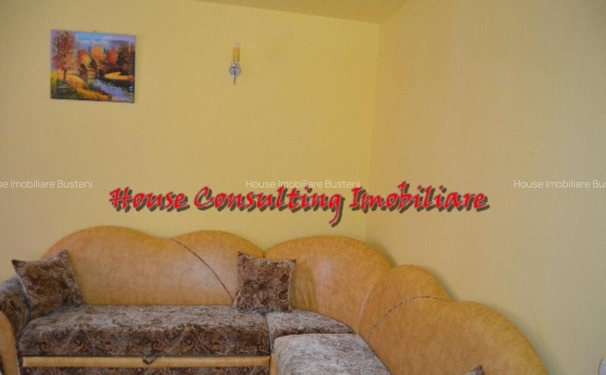 Vila de vacanta in Predeal - 8 Vila de vacanta in Predeal - 8