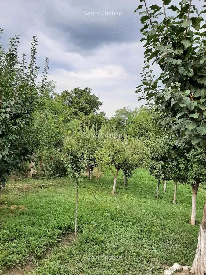 Casa Magurele Prahova-Teren 1040mp OPORTUNITATE - 2