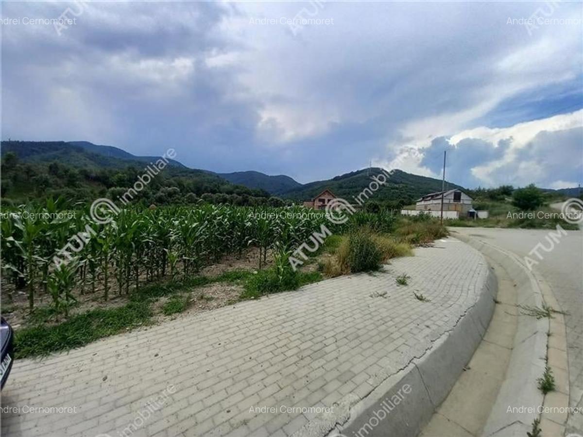 De vanzare 733 mp in Boita Sibiu - 6