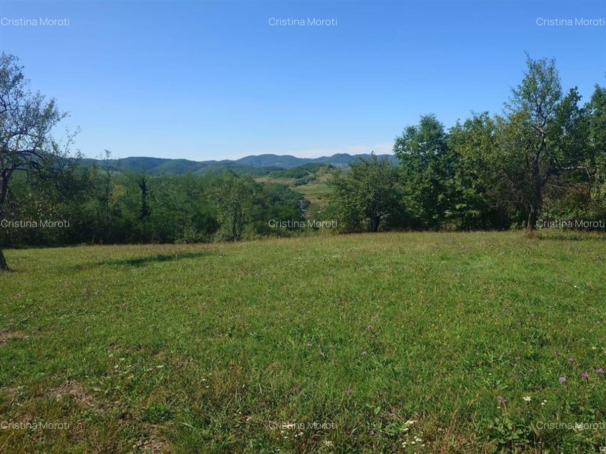 Teren intravilan 8757 mp cu potential turistic si acces direct la E79 - 12