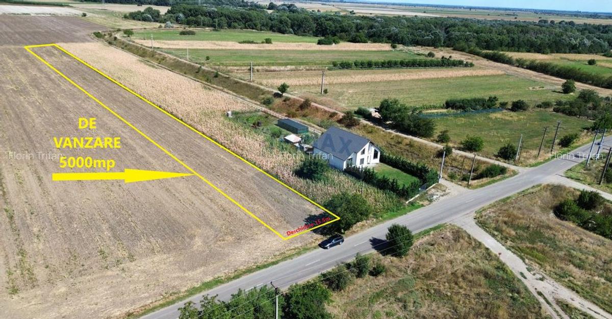 Teren 5,000mp Vanatori - 3