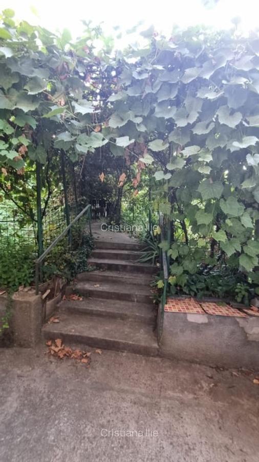 Apartament 3 camere | Baneasa - Menuetului | Curte 70mp | Negociabil | - 3