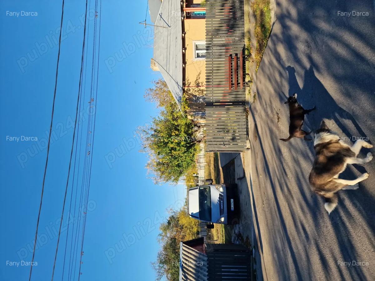 Vind casa scortaru nou. In centru.2000.mp - 4