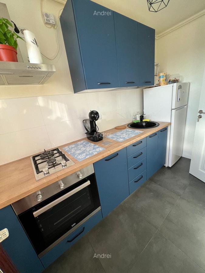 Cartier Brancusi ANL Coloana infinitului - 7