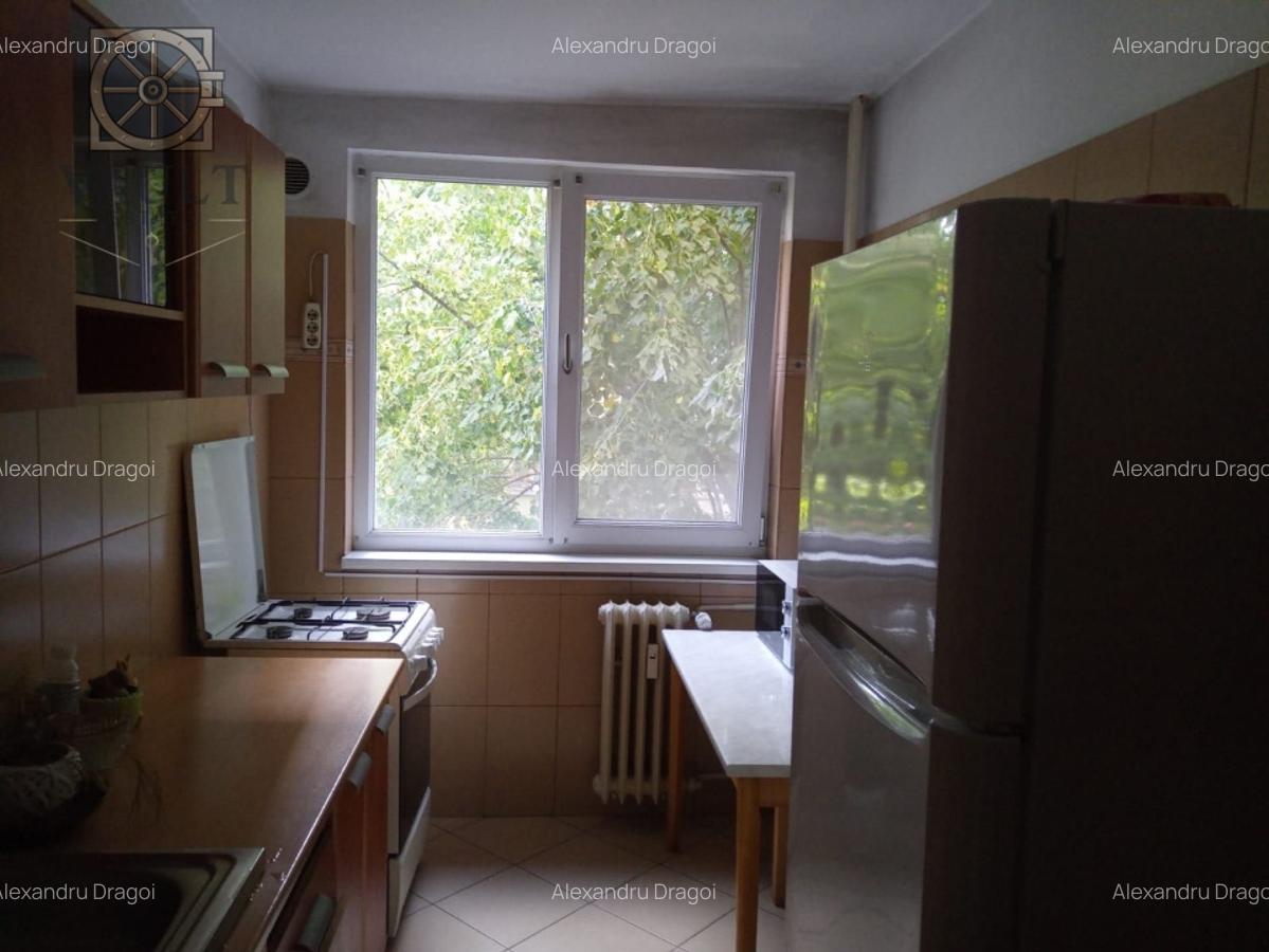 Apartament 2 camere- Teiul  Doamnei - Risc2 - 3