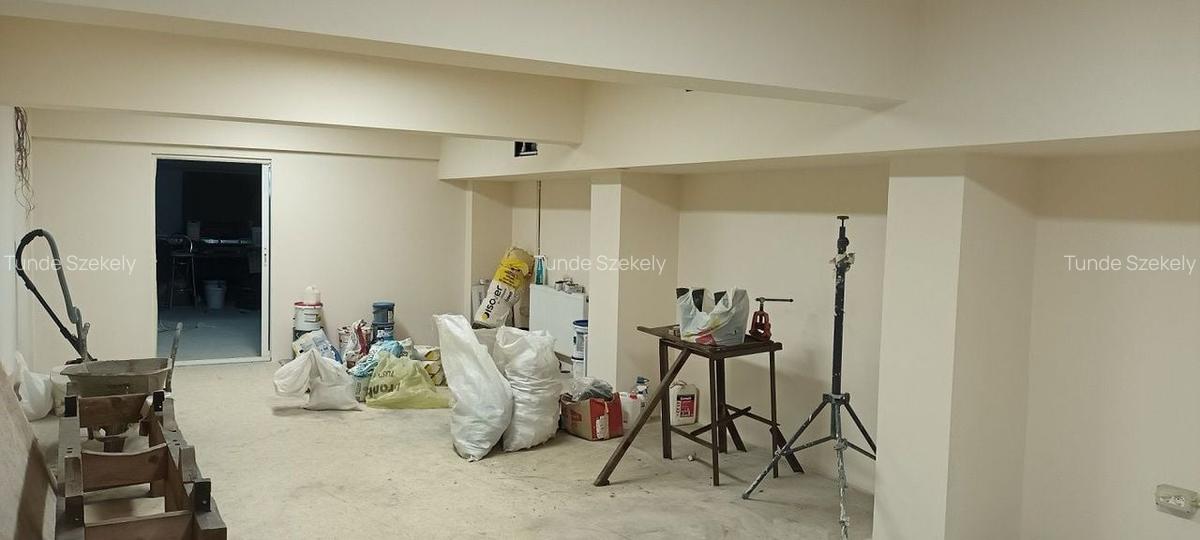 Spațiu comercial, 480 mp în Central - 7
