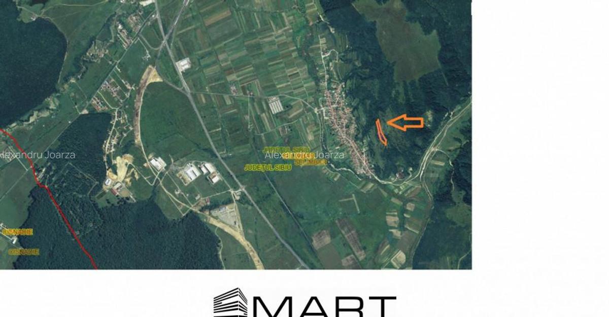 Teren extravilan 5500 mp, la padure zona Selimbar (Mohu) - 3 Teren extravilan 5500 mp, la padure zona Selimbar (Mohu) - 3