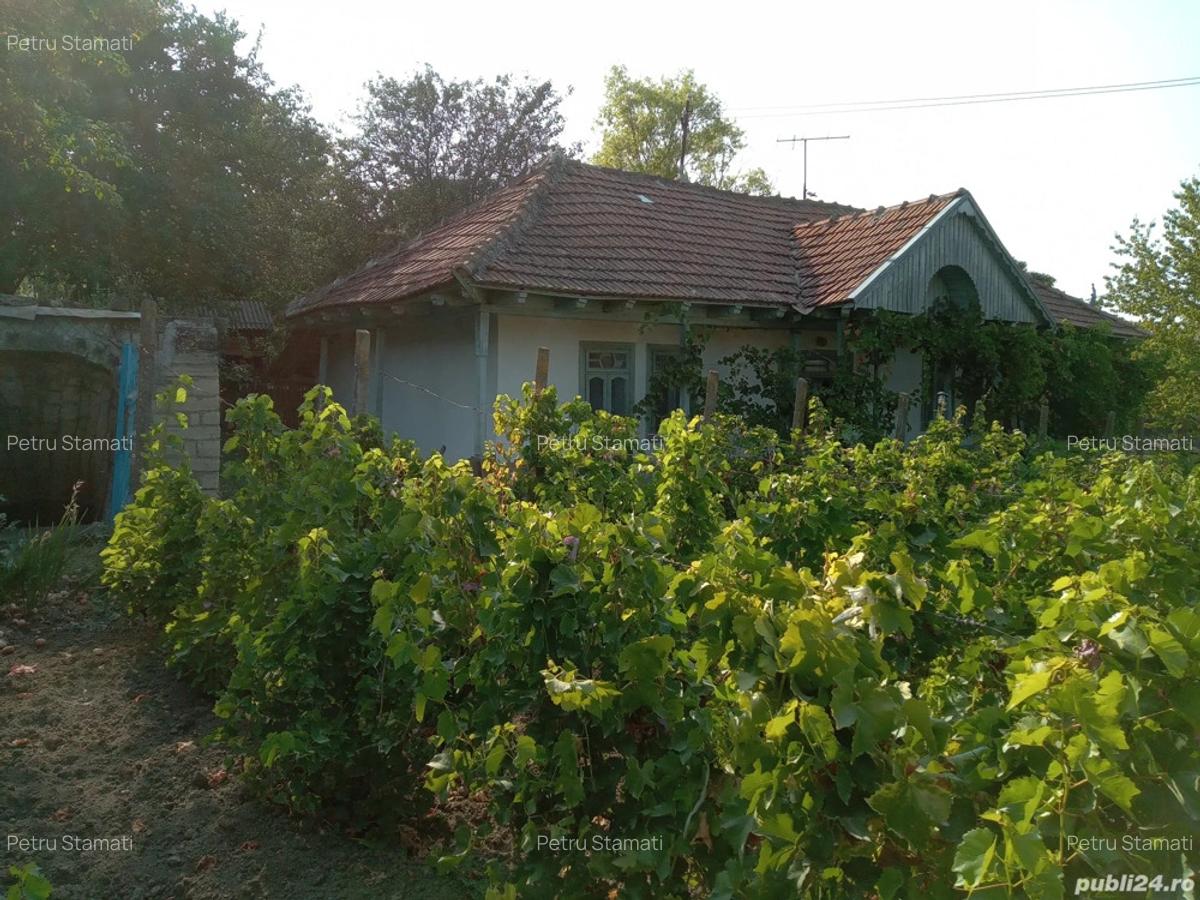 Vand casa Rebricea Jud Vaslui - 2