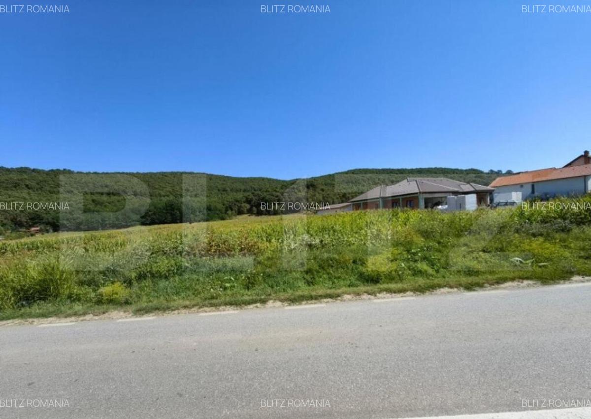 Teren intravilan, 4900 mp, zona Hapria - Ciugud - 4