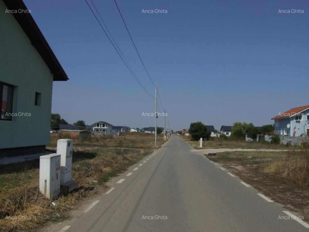 Domnesti-Salciei-stradal - 4