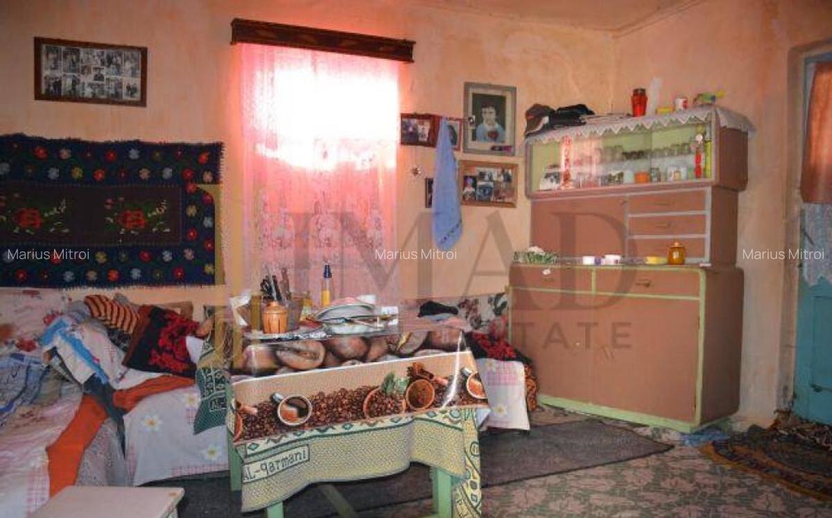 Casa Batraneasca Teren 3000mp - Glodeni Dambovita. - 5