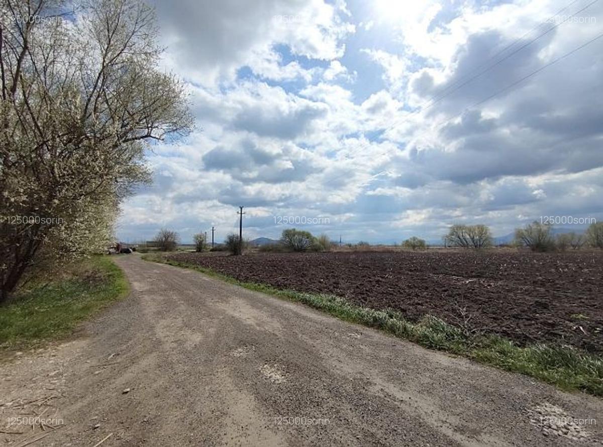 Teren intravilan 4,57 ha în Stupini - DN13. - 7