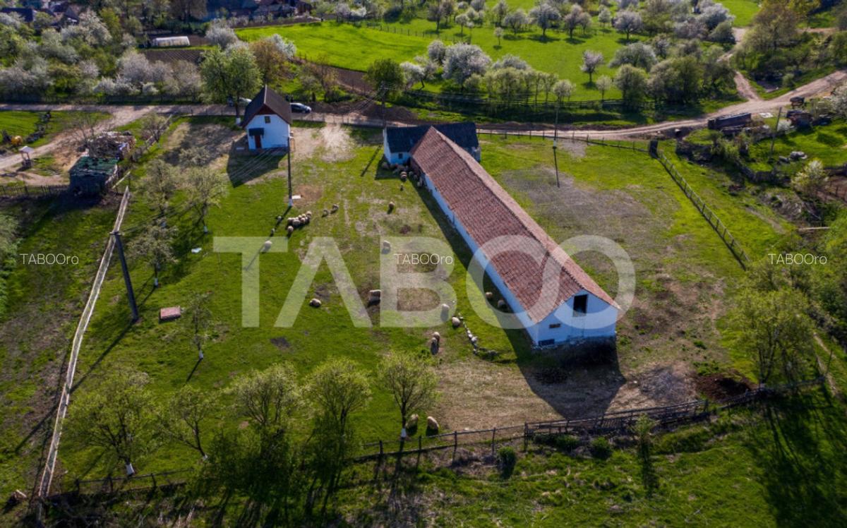 Microferma cu locuinta de vanzare in Pianu de sus - 1