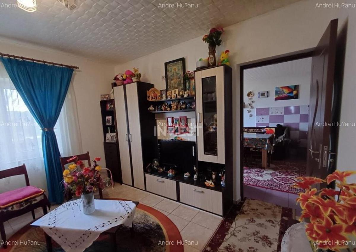 Casa 3 Camere, beci, magazie, mansarda 500 mp Teren - 17