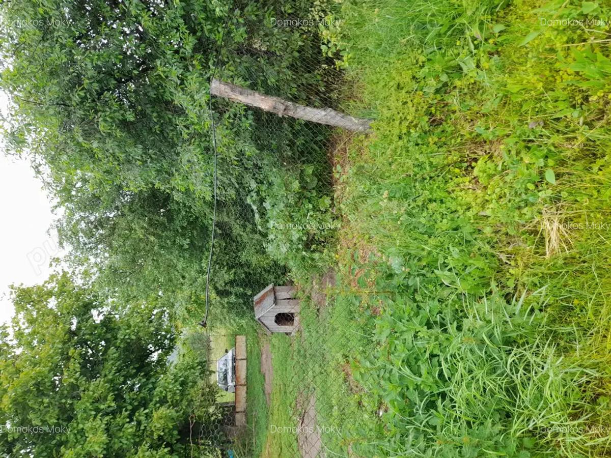 Vand casa batraneasca - 5