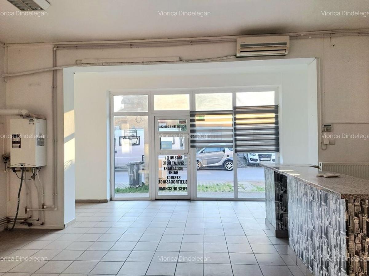 Spatiu Comercial SAD vad bun I Sagului - 2