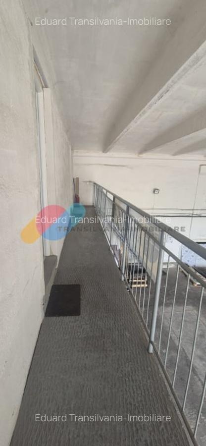 Spatiu industrial 600mp + 1500mp curte - Someseni - 5