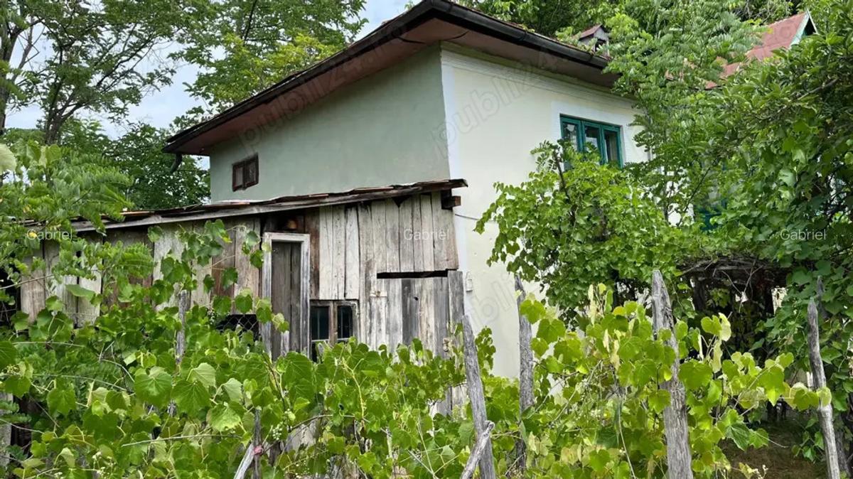 Casa la tara judetul valcea - 2