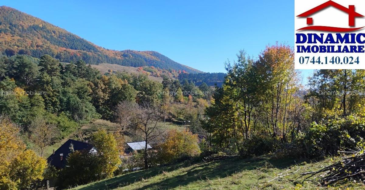 3600 mp teren intravilan, sat Bistrita, 16 Euro/mp - 2