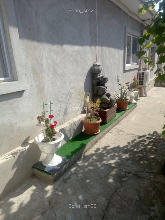 Casa in Coiciu 3 camere teren 265 - 4