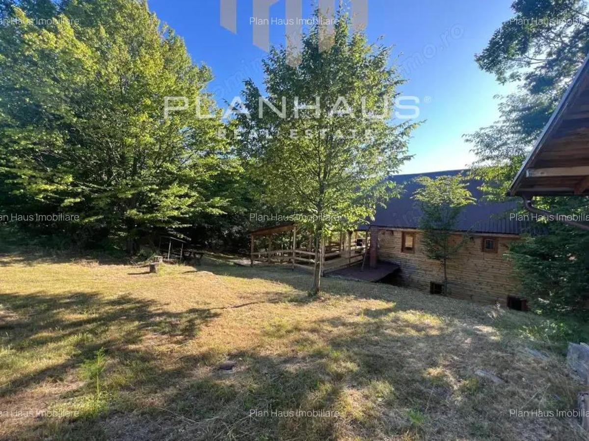 Oportunitate! Cabana de vis la Firiza 5 dormitoare, living spa?ios ?i teren generos de 4700 mp! - 7