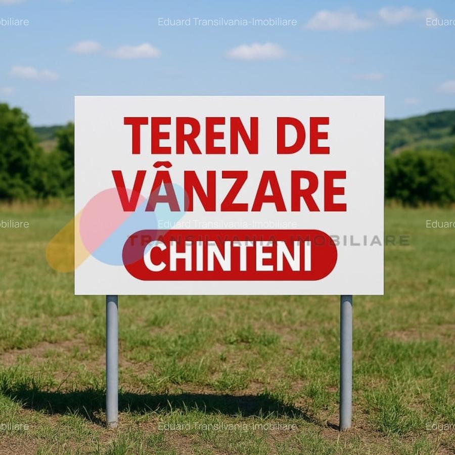 Teren de 1000 mp cu PUZ aprobat - Chinteni - 1