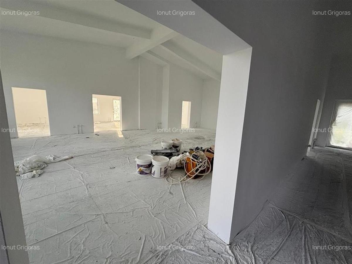 Hala Spatiu Comercial Iasi Sipote,Trifazic, Apa,Canalizare,S.u. 200 mp,2700 mp t - 3